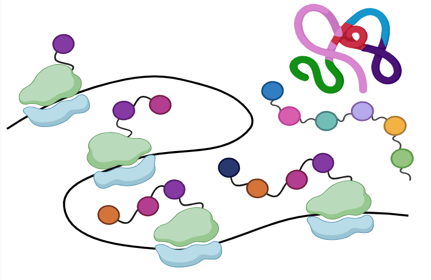 Proteomics