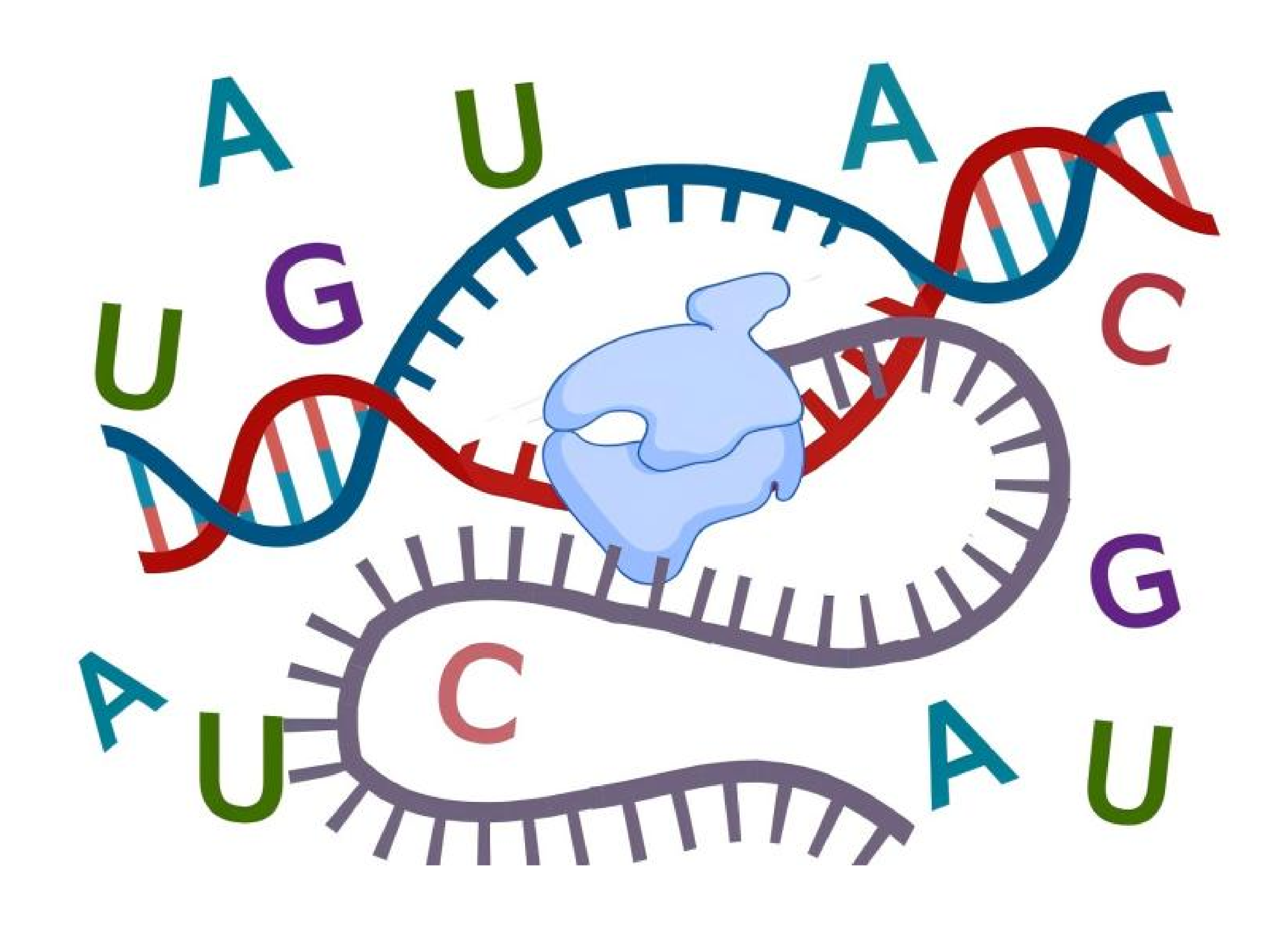 Transcriptomics