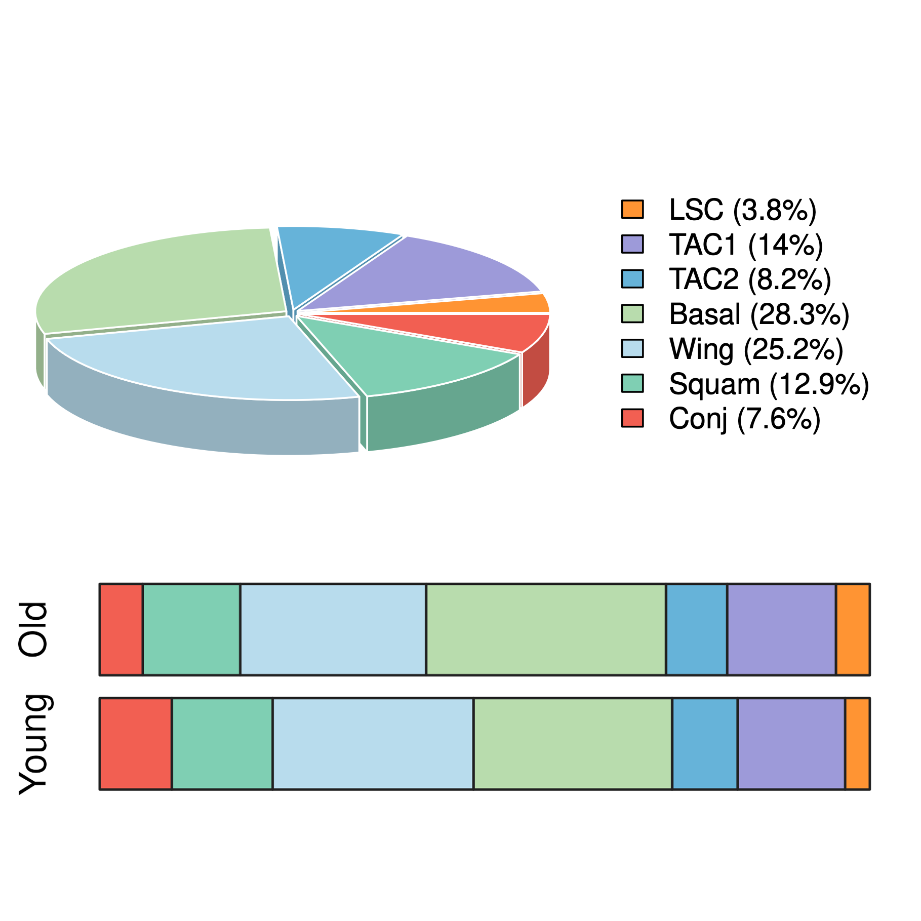 Cell type statistics