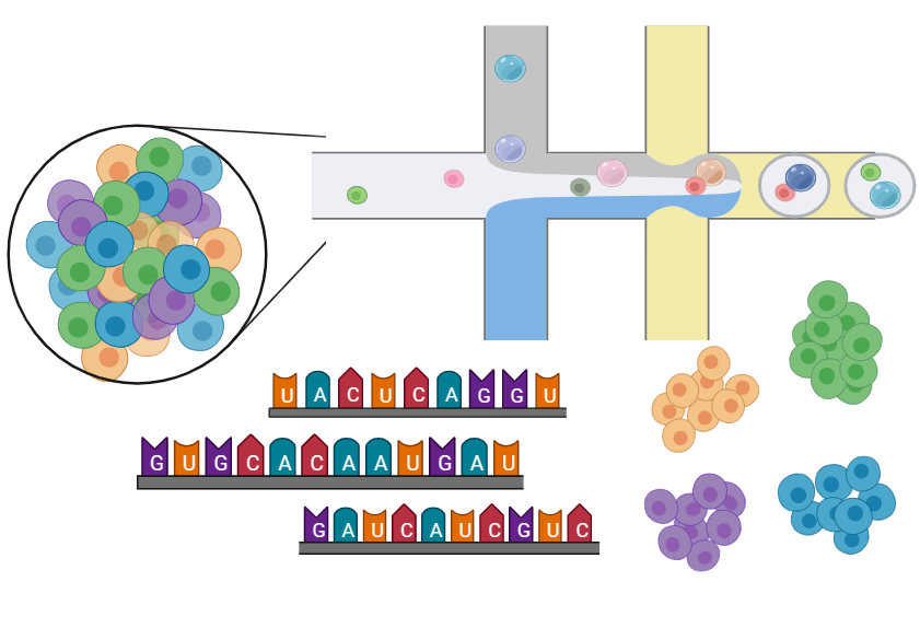 Single-cell