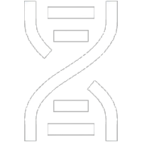 Gene